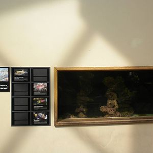 North American Living Museum - Sea of Cortez