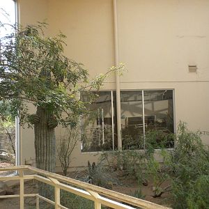 North American Living Museum - Southwest Desert