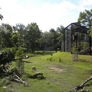 North American Living Museum - White-Tailed Deer and Turkey