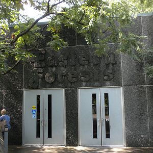 North American Living Museum - Eastern Forests