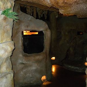 North American Living Museum - Caves