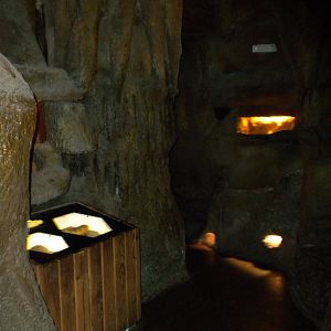 North American Living Museum - Caves