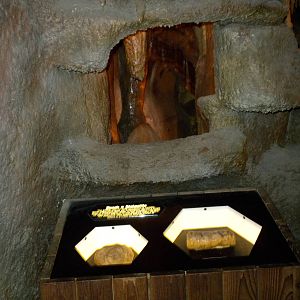 North American Living Museum - Caves