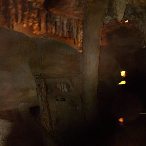 North American Living Museum - Caves