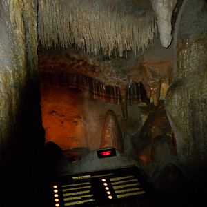 North American Living Museum - Caves