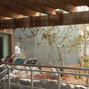 North American Living Museum - Eastern Forest aviary