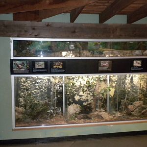 North American Living Museum - Small animals in Eastern Forest