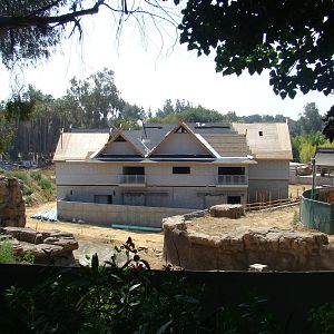 Pachyderm Forest construction update