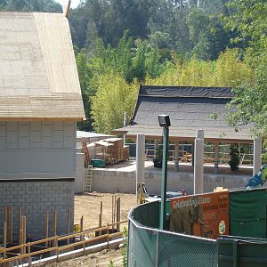 Pachyderm Forest construction update