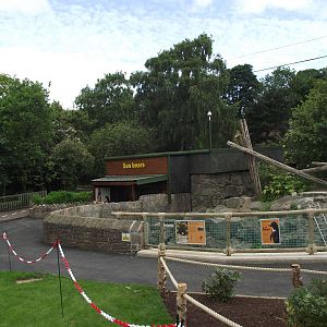 Looking from the hill to the house