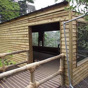 Top end, where the aviaries were