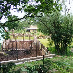 Indian Rhino Holdings