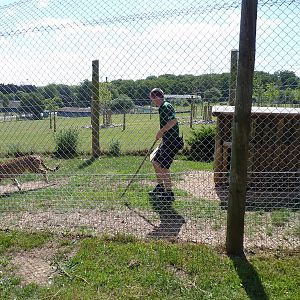 Into the Cheetahs Den