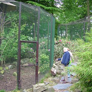 Himalayan aviaries at Ostrava, 29/05/10