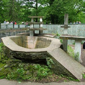 Asian Black Bear exhibit at Ostrava, 29/05/10