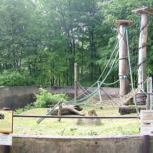 Chimp open-topped exhibit at Ostrava, 29/05/10