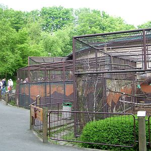 Primate House at Ostrava, 29/05/10