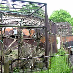 Primate House at Ostrava, 29/05/10