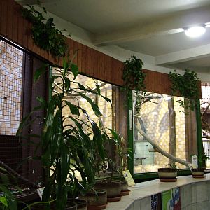 Primate House at Ostrava, 29/05/10