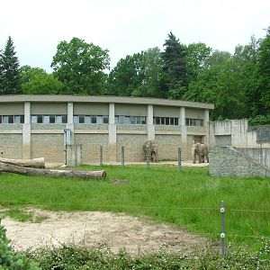 Elephant House and paddock at Ostrava, 29/05/10