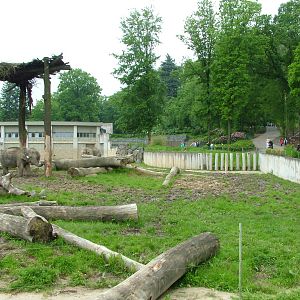 Elephant House and paddock at Ostrava, 29/05/10