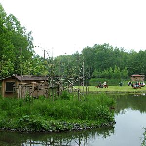 Red-bellied Lemur Island at Ostrava, 29/05/10