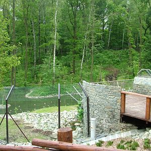 New Bear and Langur exhibit at Ostrava, 29/05/10