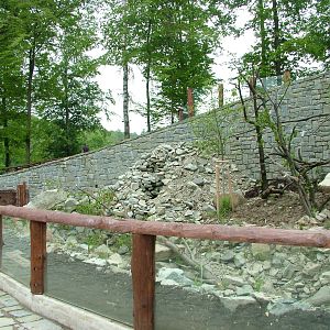 New Bear and Langur exhibit at Ostrava, 29/05/10