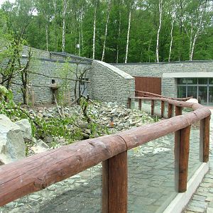 New Bear and Langur exhibit at Ostrava, 29/05/10