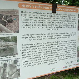 New Bear and Langur exhibit at Ostrava, 29/05/10