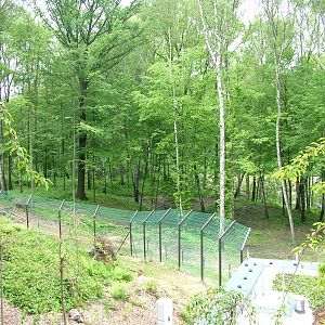 New Bear and Langur exhibit at Ostrava, 29/05/10