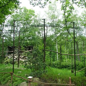Vulture Aviary at Ostrava, 29/05/10