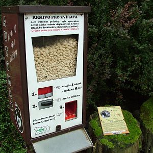 Raccoon Dog snack vending machine at Ostrava, 29/05/10