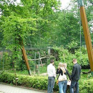 Bird of Prey aviaries at Ostrava, 29/05/10