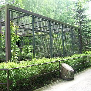 Snow Leopard exhibit at Ostrava, 29/05/10