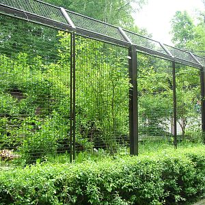 Serval exhibit at Ostrava, 29/05/10