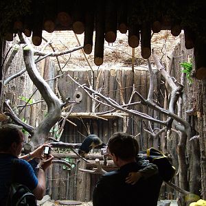 Giant Squirrel exhibit at Ostrava, 29/05/10