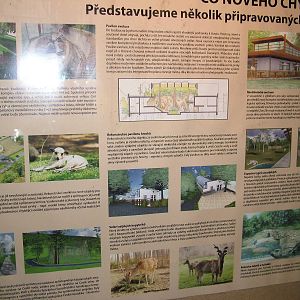 Future plans at Ostrava, 29/05/10