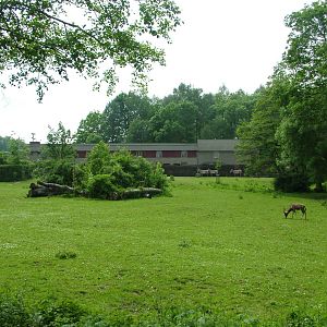 Mixed exhibit at Ostrava, 29/05/10