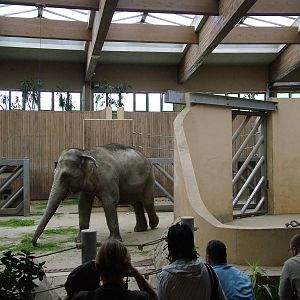 Elephant House interior at Ostrava, 29/05/10