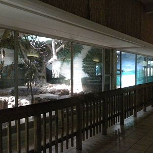 Conservation Center - aviaries