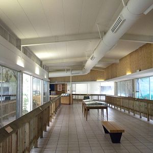 Conservation Center - aviaries