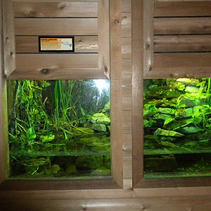 Conservation Center - Fish