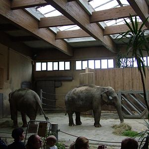 Elephant House interior at Ostrava, 29/05/10