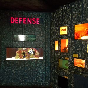 Conservation Center - Aquatic gallery