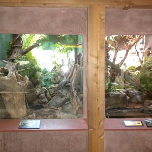Conservation Center - Herp exhibits