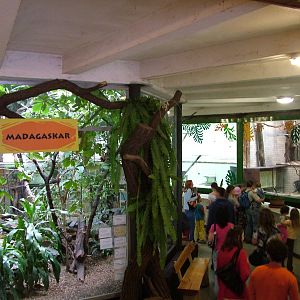 Primate House interior at Ostrava, 29/05/10