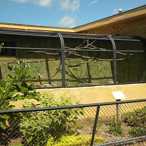 Conservation Center - Outdoor Monkey cages
