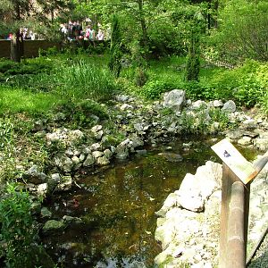 Exhibit at Ostrava, 29/05/10