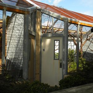 Conservation Center - Outdoor Monkey cages